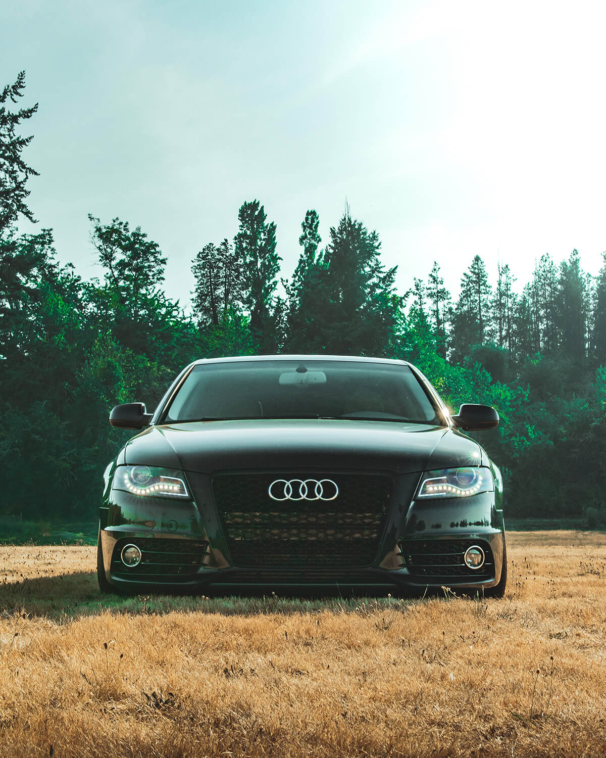 Lowered Audi A4 B8 With Blacked out grille