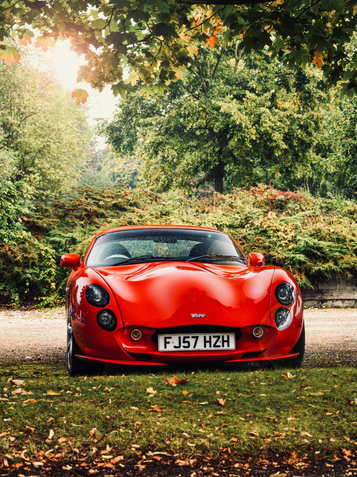 TVR sports car british